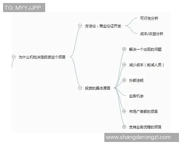 重庆羽毛球队在欧锦赛中的团队协作表现分析与启示